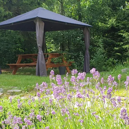 Apartamento U Sikory *