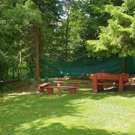 U Sikory Apartamento Miedzygorze