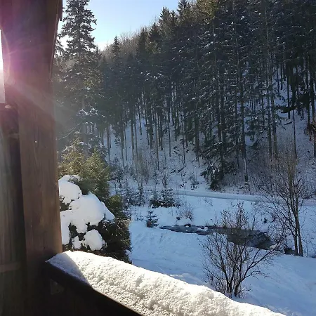 U Sikory Miedzygorze