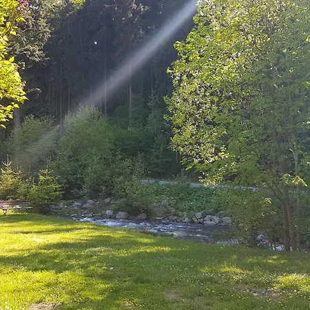 Daire U Sikory Miedzygorze