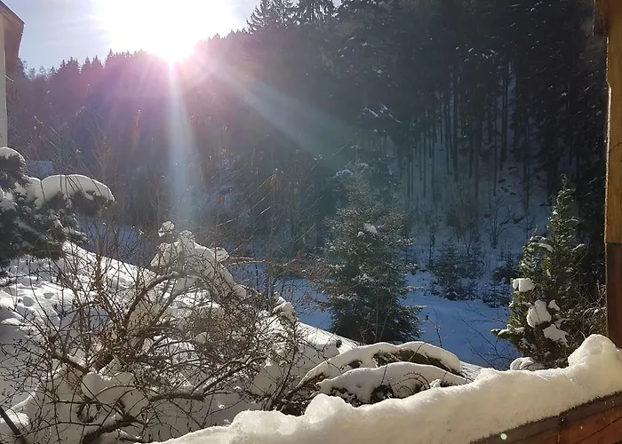 Apartamento U Sikory *