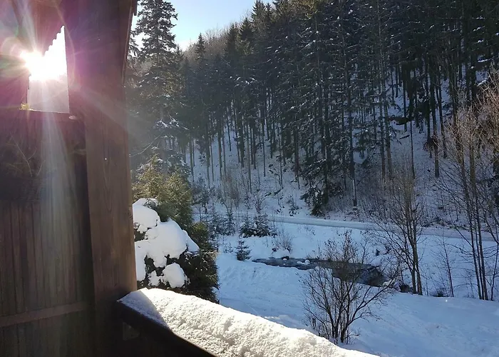 U Sikory Międzygórze